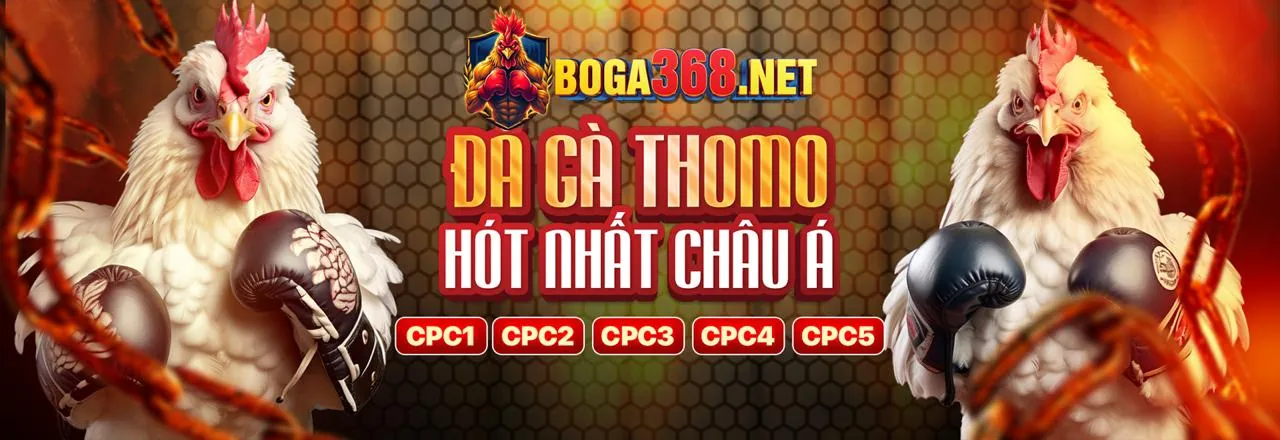 Chính Sách Cookie cm88b - Bảo Mật Dữ Liệu Cá Cược Trực Tuyến